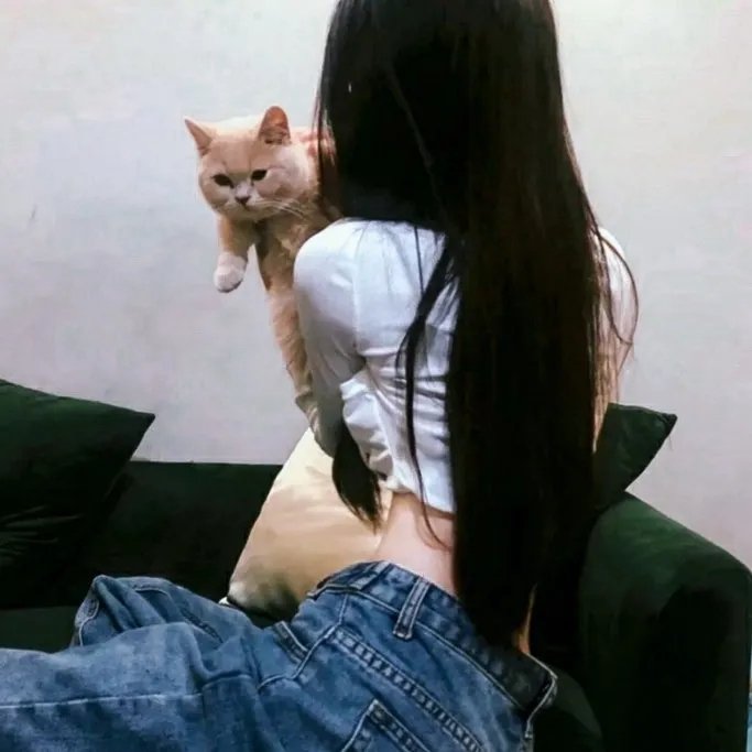 艾莉塔:战斗天使 封面